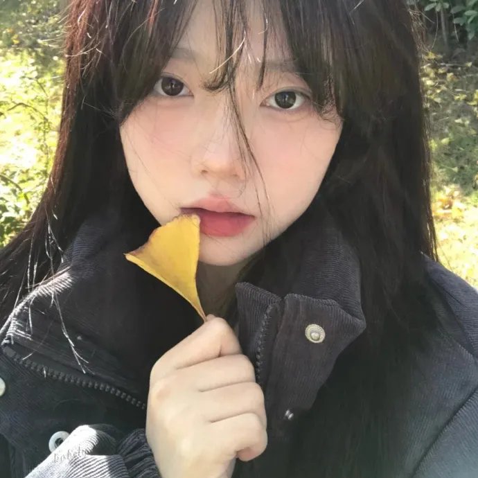 回望长安